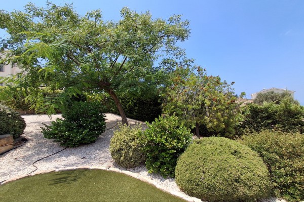 Embrace Mediterranean Living